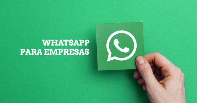 WhatsApp nas empresas: ajuda ou atrapalha?